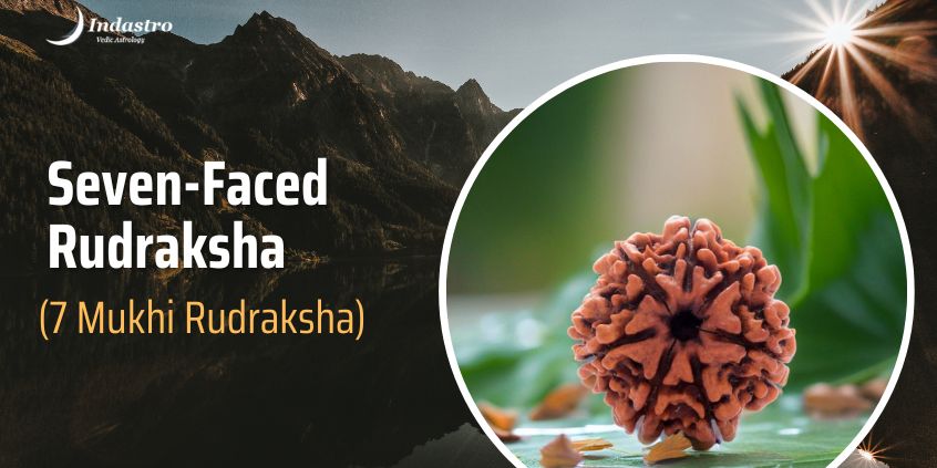 Seven-Faced Rudraksha (7 Mukhi Rudraksha)